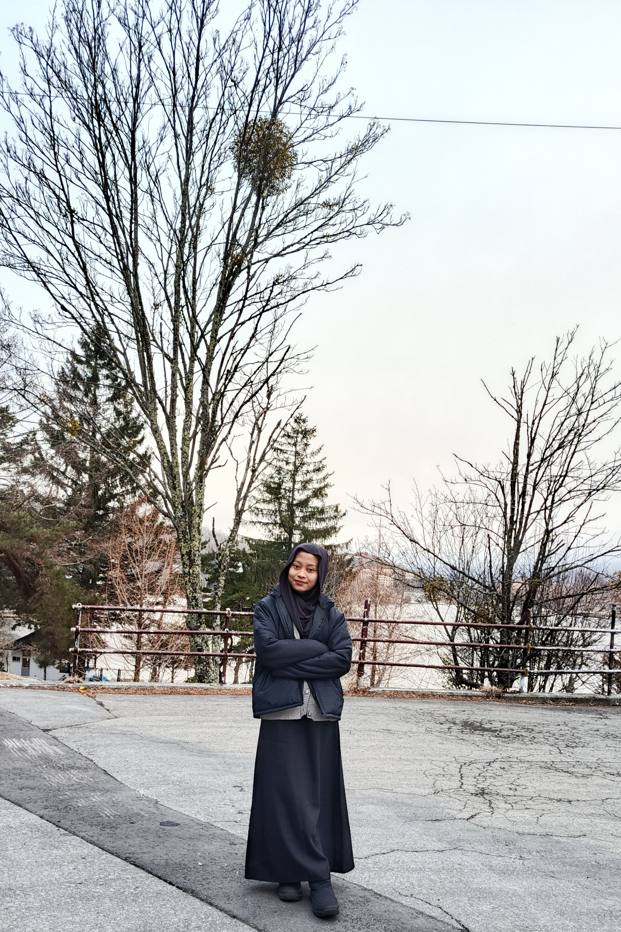 Aulia